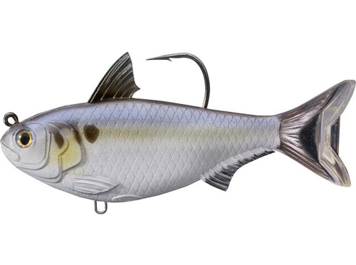 Live_Target_Gizzard_shad