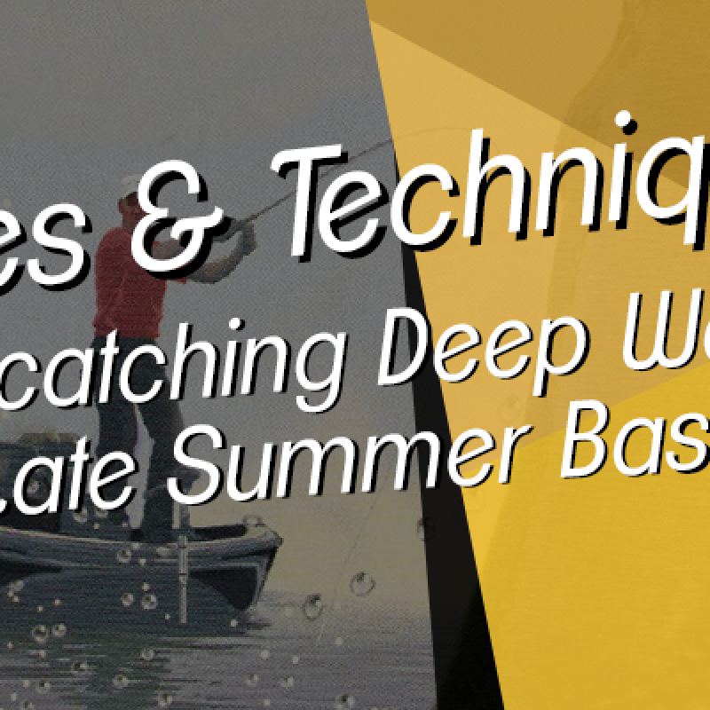 Lures and Techniques for Catching Deep Water Late Summer Bass