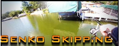 skipping