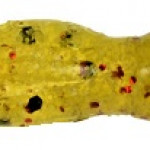 Images