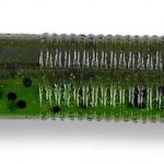 Images
