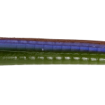 Roboworm Fat Worm 6 Inches - (SF)