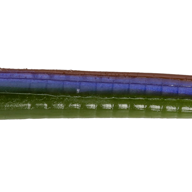 Roboworm Fat Worm 6 Inches - (SF)