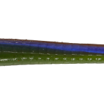 Roboworm Fat Worm 4.5 Inches - (SK)