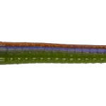 Roboworm Straight Tail Worm 7 Inches - (SL)