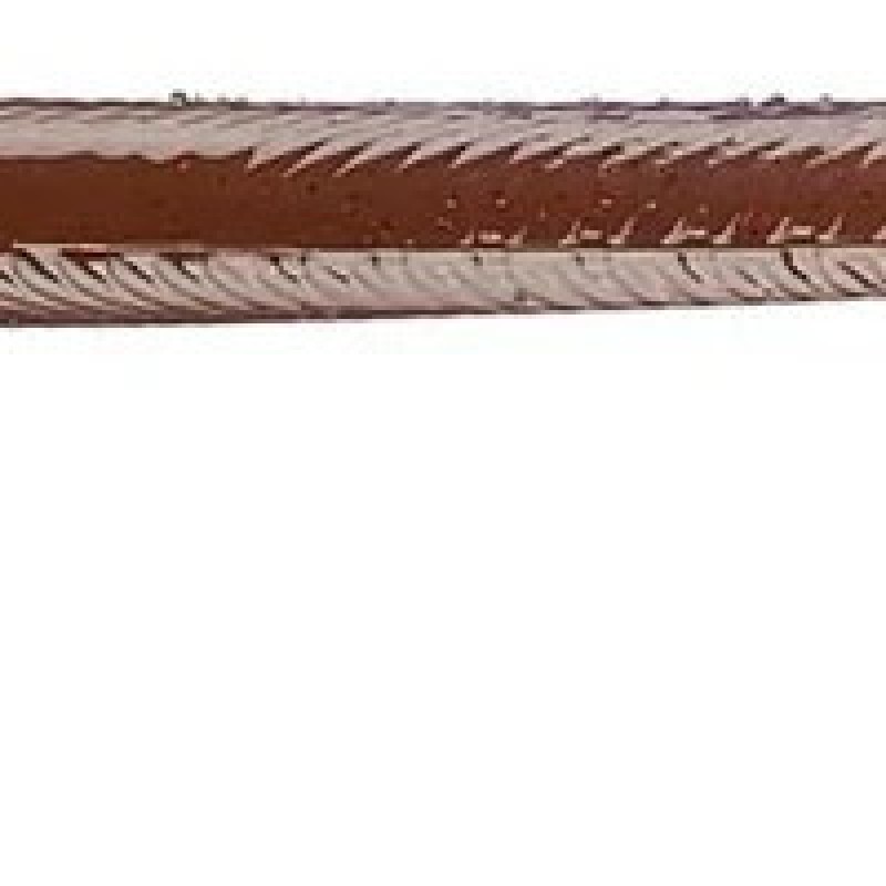 Roboworm Curly Tails Worms 5.5 inches - CL