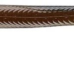 Roboworm Curly Tails Worms 5.5 inches - CL