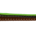 Roboworm Straight Tail Worm 7 Inches - (SL)