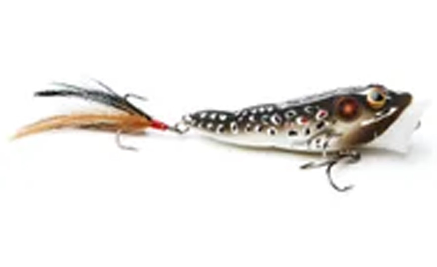 Live Target Frog Popper 1/4oz (FGP65T)