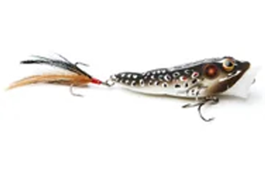 Live Target Frog Popper 1/2oz (FGP75T)
