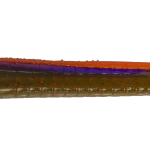 Roboworm Fat Worm 4.5 Inches - (SK)