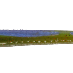 Roboworm Fat Worm 4.5 Inches - (SK)