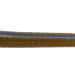 Roboworm Straight Tail Worm 7 Inches - (SL)