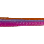Roboworm Straight Tail Worm 7 Inches - (SL)