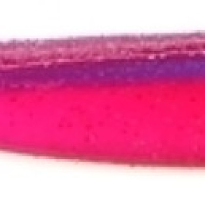 Roboworm Alive Shad 4 Inches - (AT)