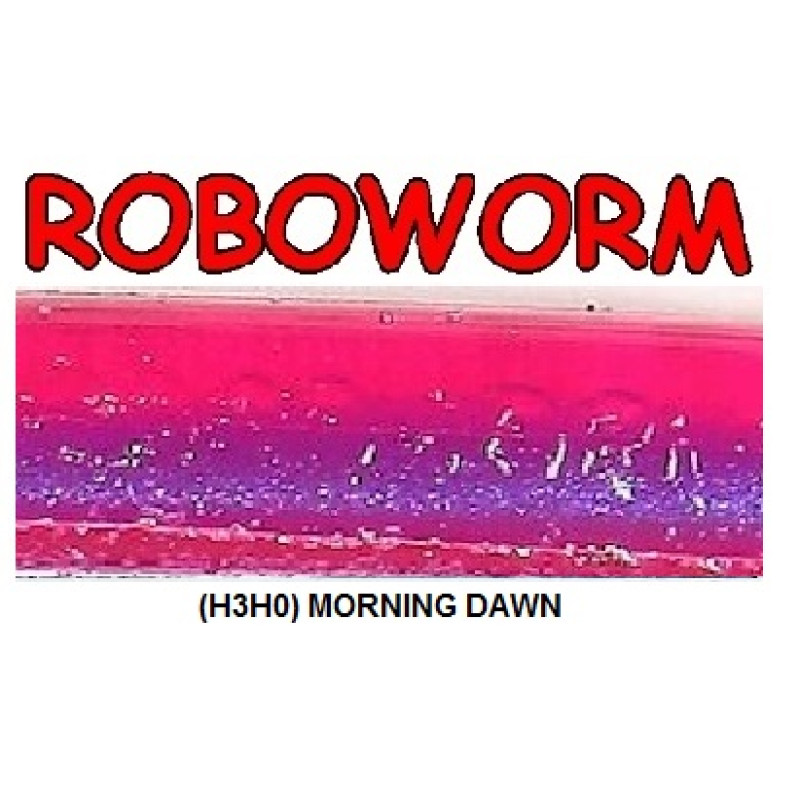 Roboworm Straight Tail Worm 4.5 Inches - (ST)