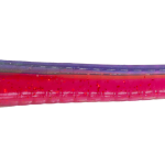 Roboworm Fat Worm 4.5 Inches - (SK)
