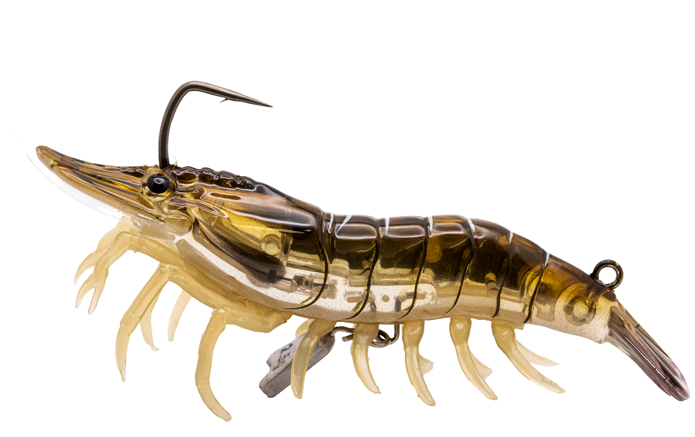 Live Target Live Shrimp Finesse Bait 1/4oz (LSH75SK)