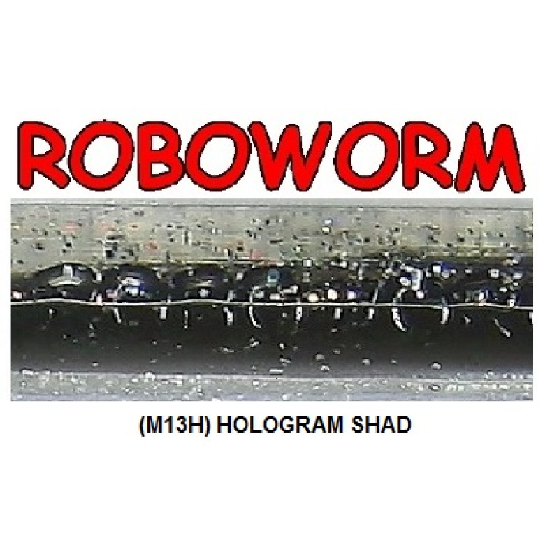 Roboworm Straight Tail Worm 4.5 Inches - (ST)