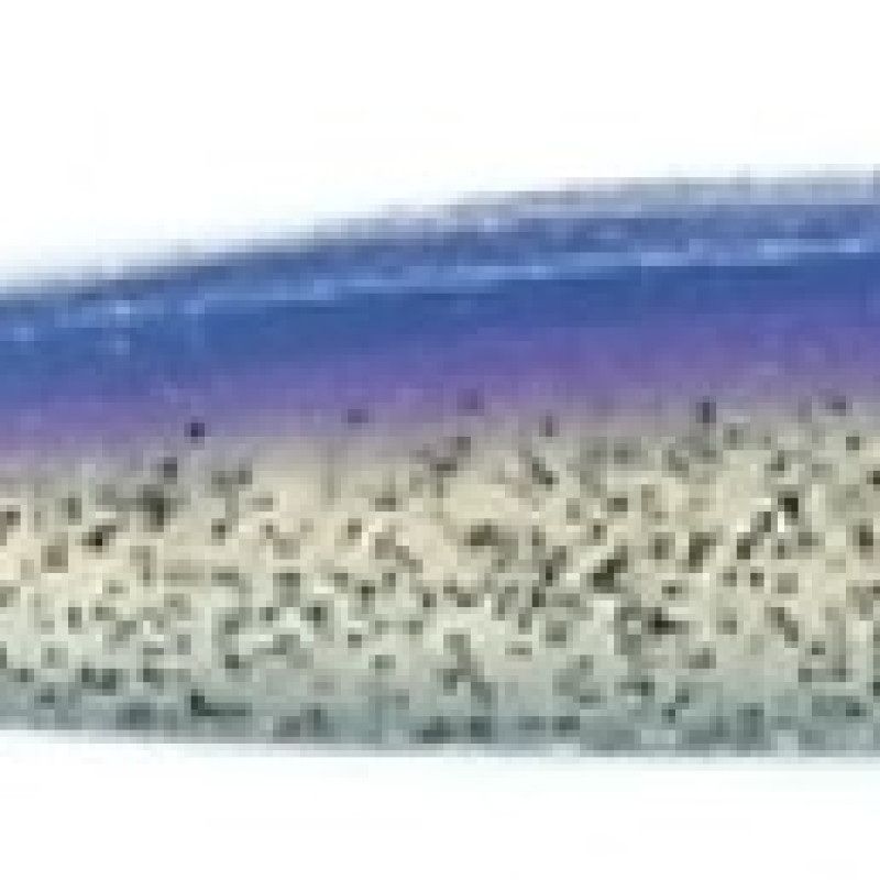 Roboworm Alive Shad 4 Inches - (AT)