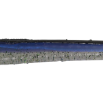 Roboworm Fat Worm 4.5 Inches - (SK)