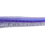 Roboworm Fat Worm 4.5 Inches - (SK)