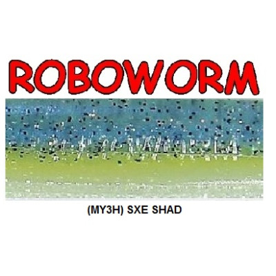 Roboworm Straight Tail Worm 4.5 Inches - (ST)