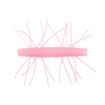 Z-MAN TRD - FUZZY Finesse NED Senko Style Stick Bait 2.75 Inch FZT