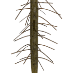 Gary Yamamoto Senko Stick Bait Worm 5 Inch - (YAM-9FUZ-4)