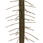 Gary Yamamoto Senko Stick Bait Worm 5 Inch - (YAM-9FUZ-4)