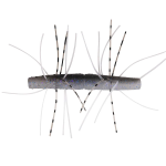 Z-MAN TRD - FUZZY Finesse NED Senko Style Stick Bait 2.75 Inch FZT