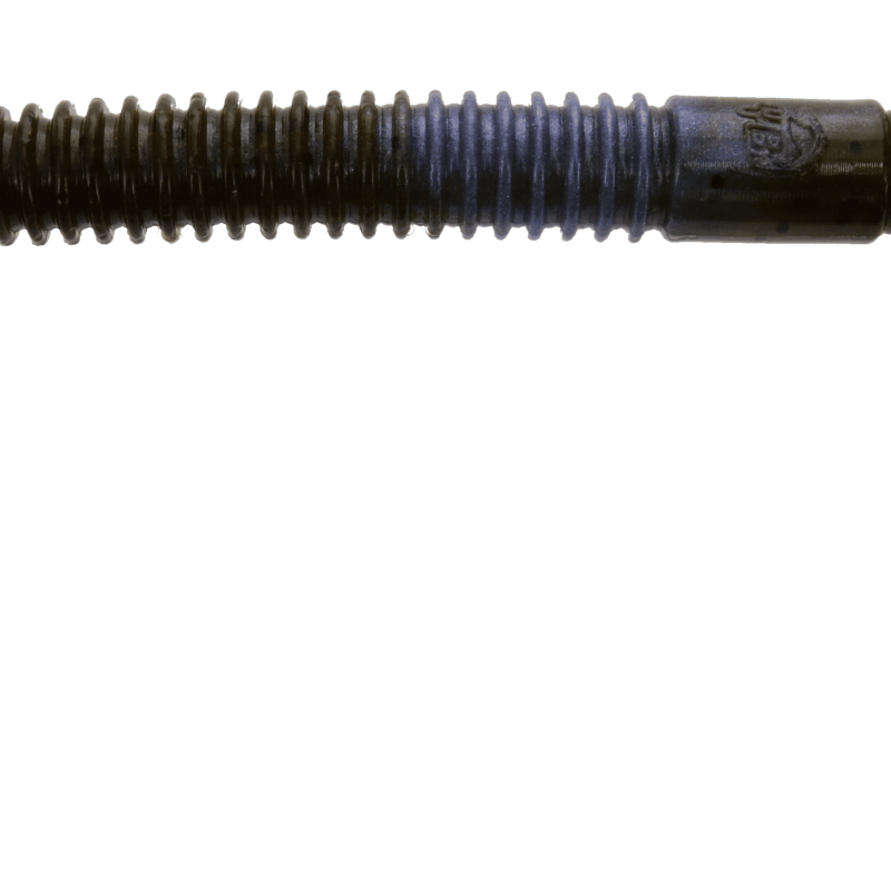 Gary Yamamoto ICHI Ribbontail Worm 10 Inch - (YAM-ICHI-06)