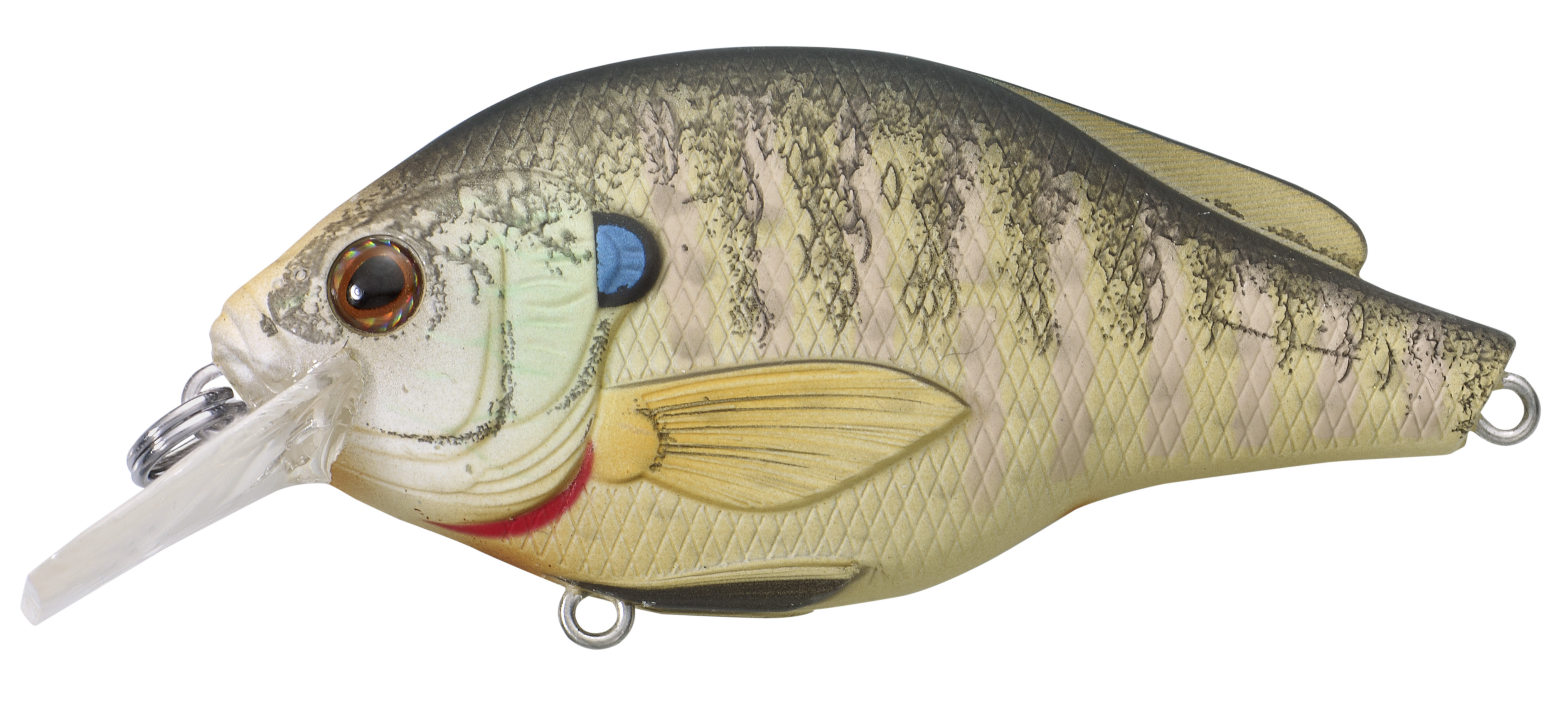 Live Target Sunfish Squarebill Crankbait 1/2oz (BGS70)