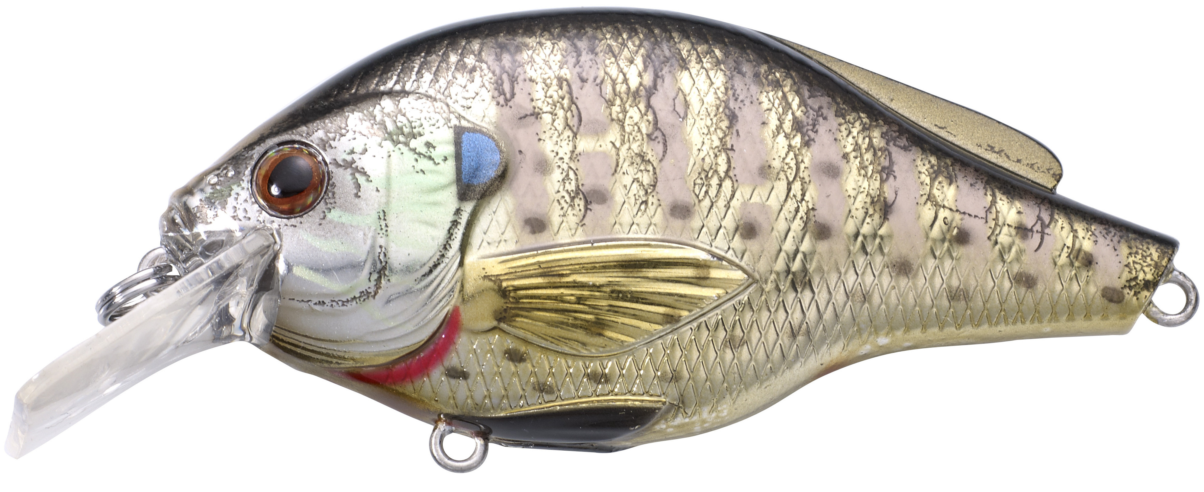 Live Target Sunfish Squarebill Crankbait 1/2oz (BGS70)