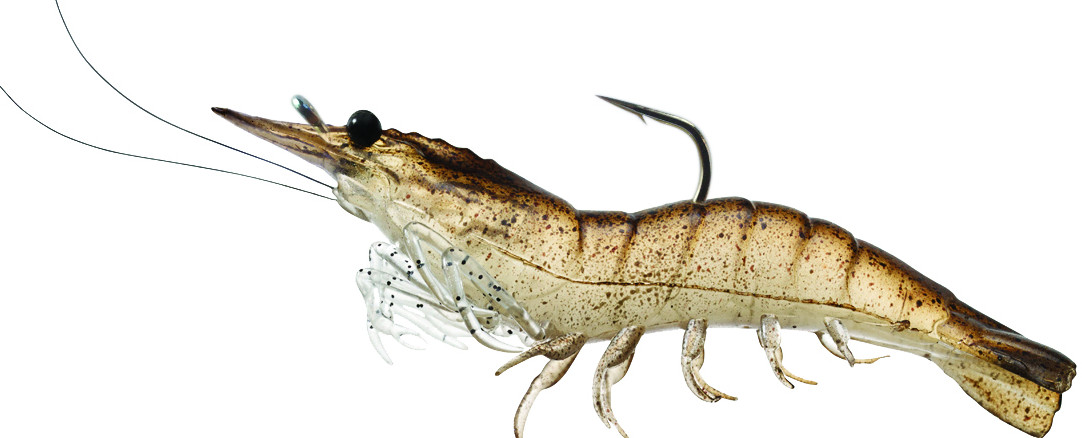 Live Target Rigged Shrimp 1/4oz (SSF75S)