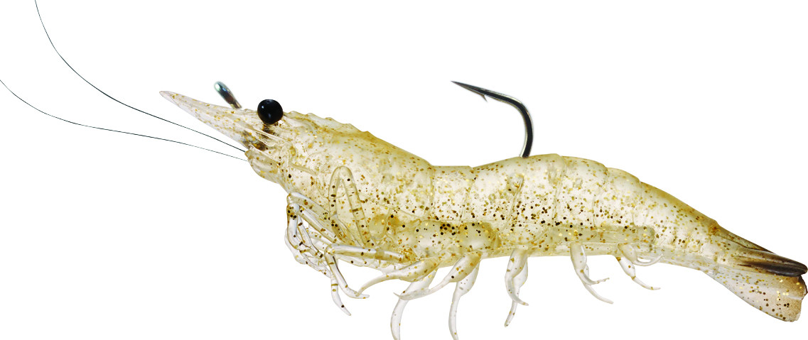 Live Target Rigged Shrimp 1/4oz (SSF75S)