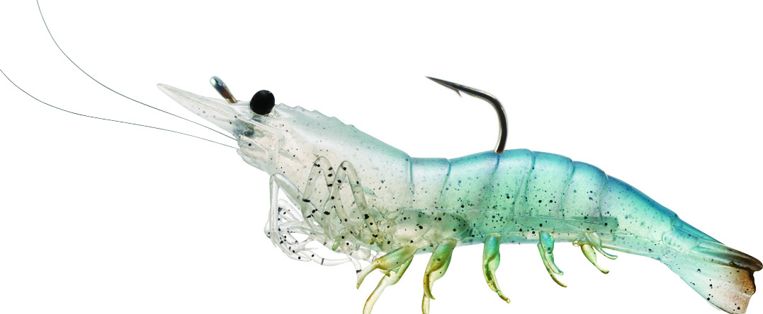 Live Target Rigged Shrimp 1/4oz (SSF75S)