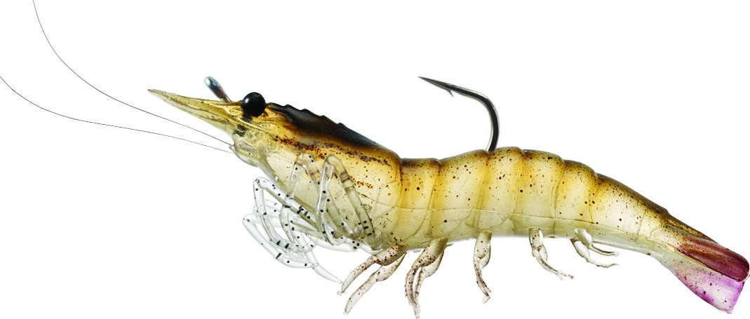 Live Target Rigged Shrimp 1/4oz (SSF75S)