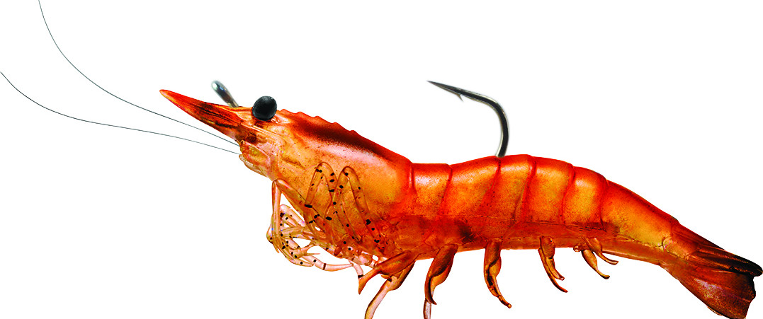 Live Target Rigged Shrimp 1/4oz (SSF75S)