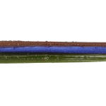 Roboworm Straight Tail Worm 6 Inches - (SR)