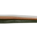 Roboworm Straight Tail Worm 6 Inches - (SR)