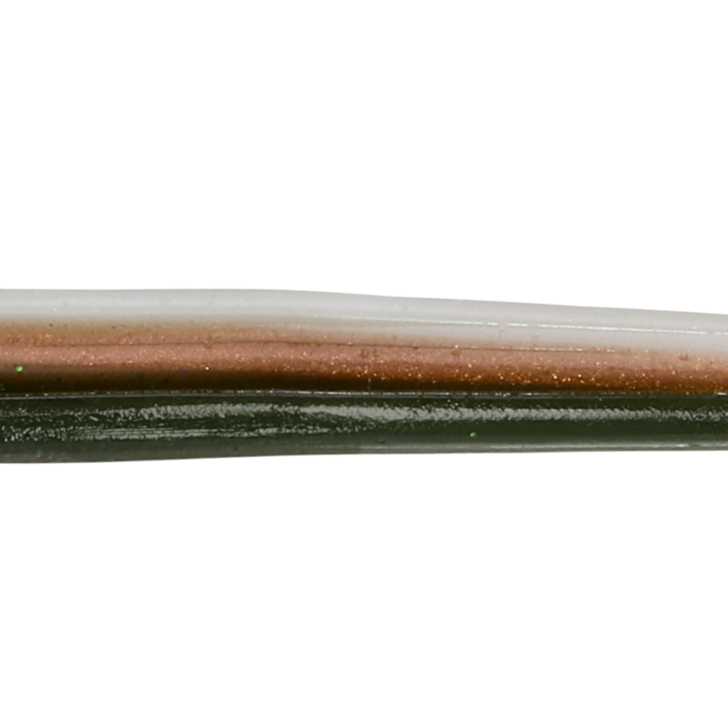 Roboworm Straight Tail Worm 6 Inches - (SR)