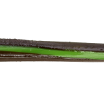 Roboworm Straight Tail Worm 6 Inches - (SR)