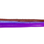 Roboworm Straight Tail Worm 6 Inches - (SR)