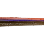 Roboworm Straight Tail Worm 6 Inches - (SR)