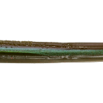 Roboworm Straight Tail Worm 6 Inches - (SR)