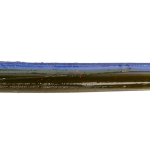 Roboworm Straight Tail Worm 6 Inches - (SR)