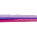 Roboworm Straight Tail Worm 6 Inches - (SR)