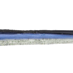 Roboworm Straight Tail Worm 6 Inches - (SR)