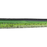 Roboworm Straight Tail Worm 6 Inches - (SR)